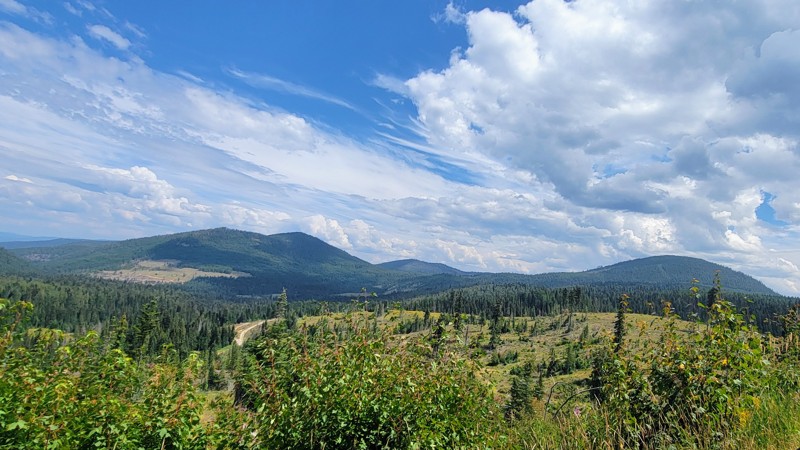 Idaho: Fishhook Creek Road Hero Photo