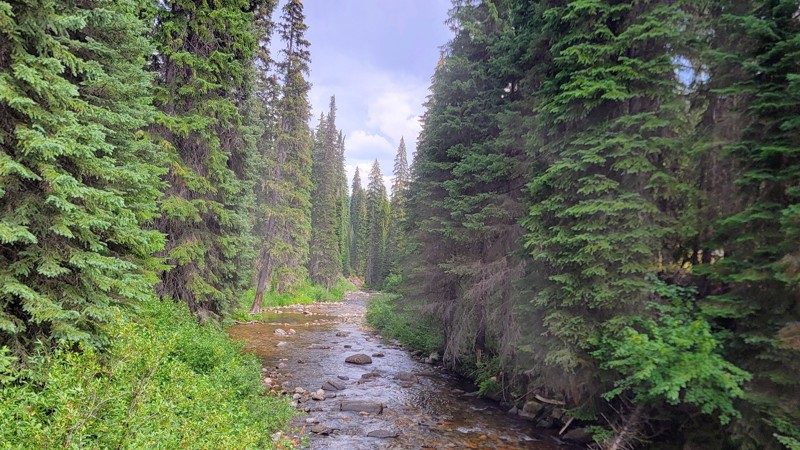 Fishhook Creek Road Trail Review Photo