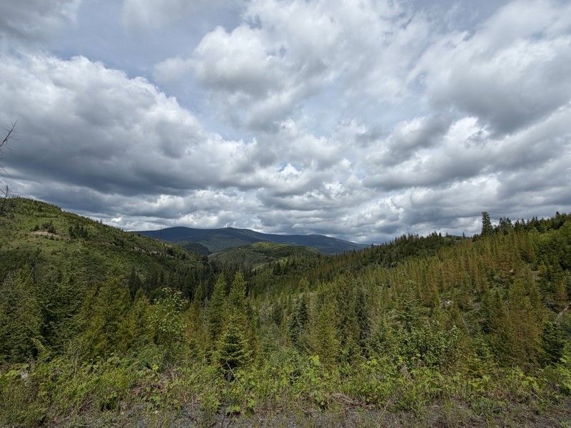 Fishhook Creek Road Trail Review Photo