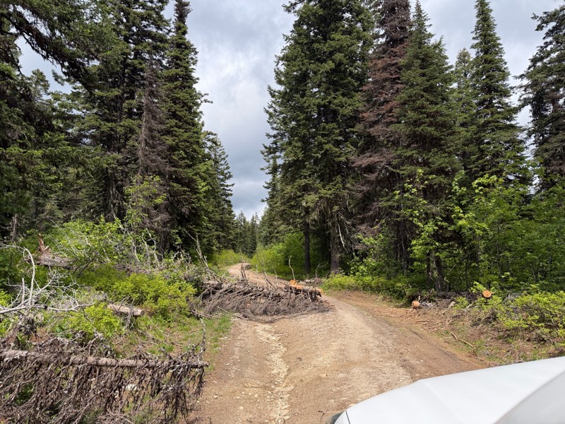 Fishhook Creek Road Trail Review Photo