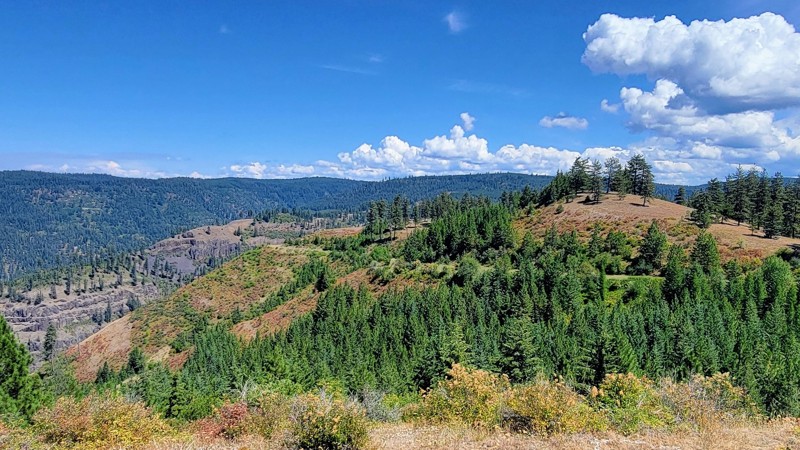 Idaho: Free Use Road Hero Photo