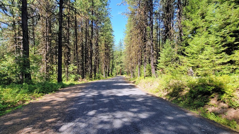 Free Use Road Trail Review Photo