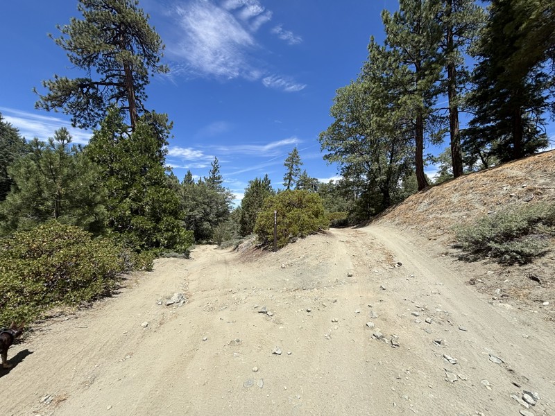 Little Bear Spring Trail Review Photo