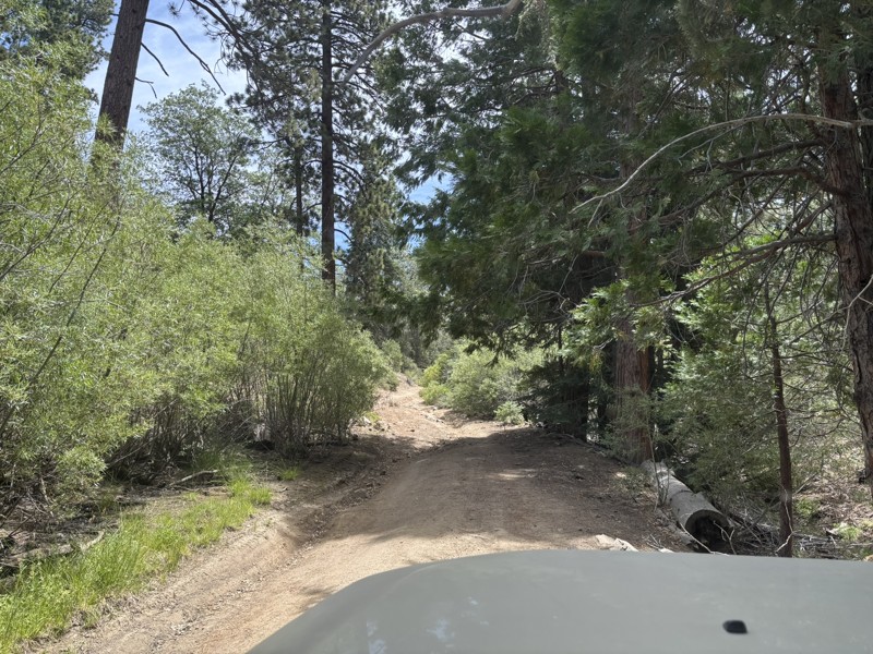 Little Bear Spring Trail Review Photo