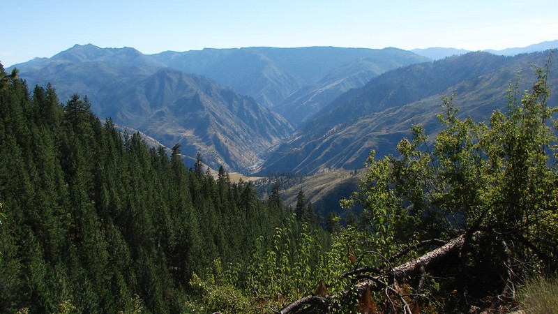 Idaho: Grangeville Salmon Road Hero Photo