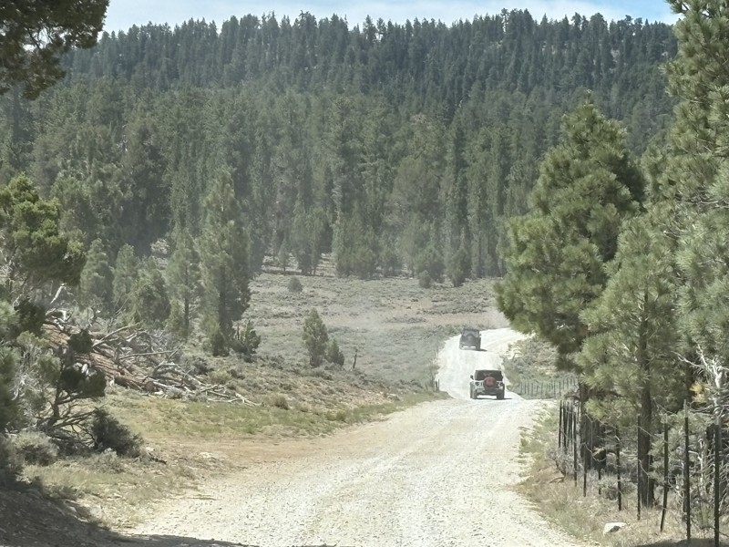 Delamar Mountain Road Trail Review Photo