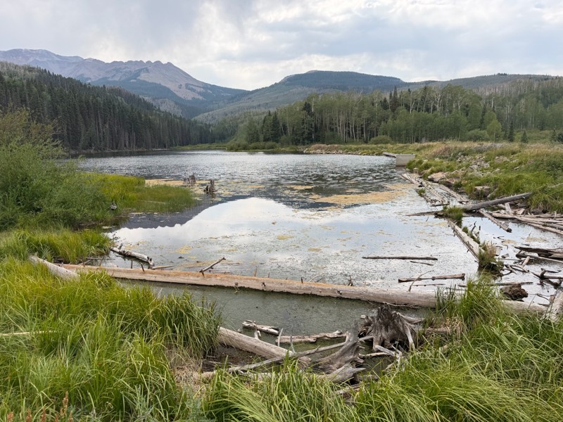 Woods Lake Trail Review Photo