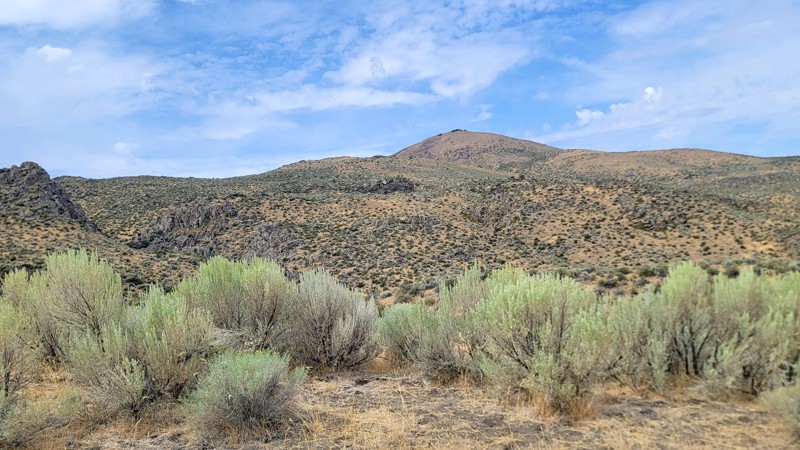 Whiskey Mountain Road Trail Review Photo