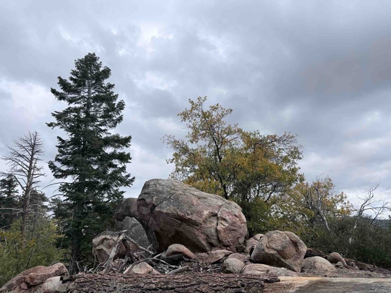 Little Green Valley Road Trail Review Photo