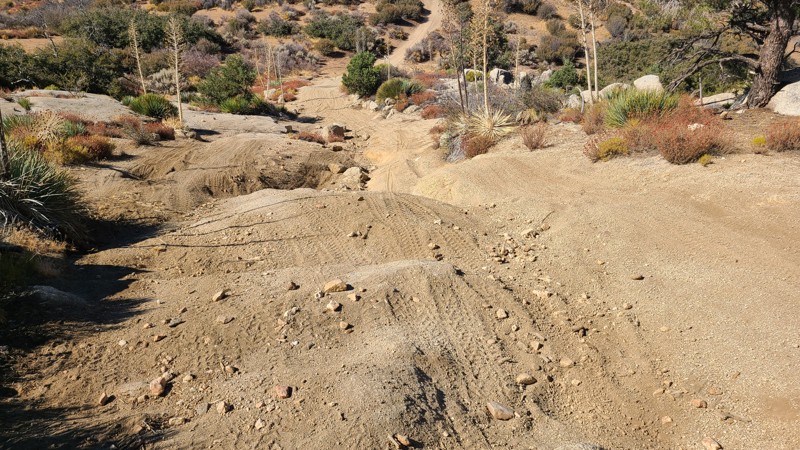 Carbine Flat Trail Review Photo