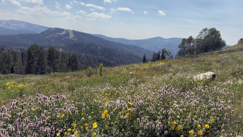 Utah: Red Pine Road Hero Photo