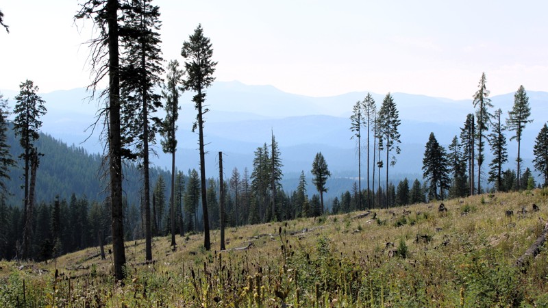 Idaho: Mud Springs and Indian Trail Roads Hero Photo