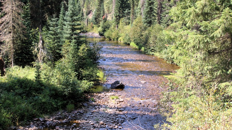 Idaho: Newsom Creek Road Hero Photo
