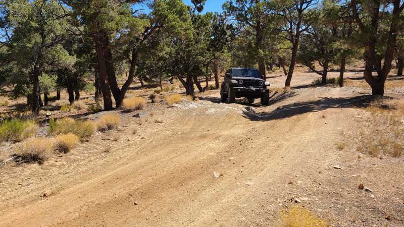 2N87Y Trail Review Photo