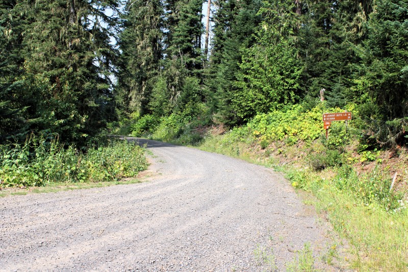 Tahoe Road Trail Review Photo