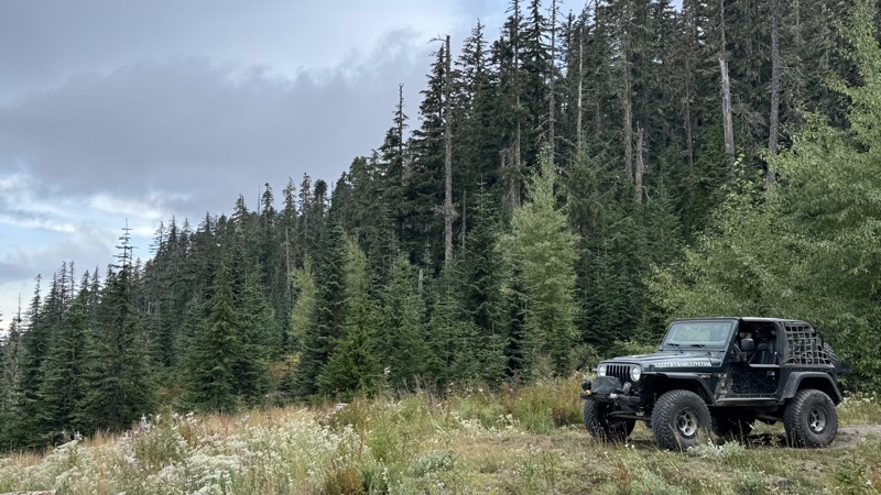 Collar Trail Review Photo