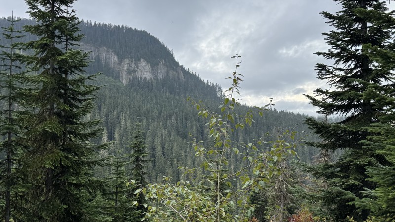 Collar Trail Review Photo