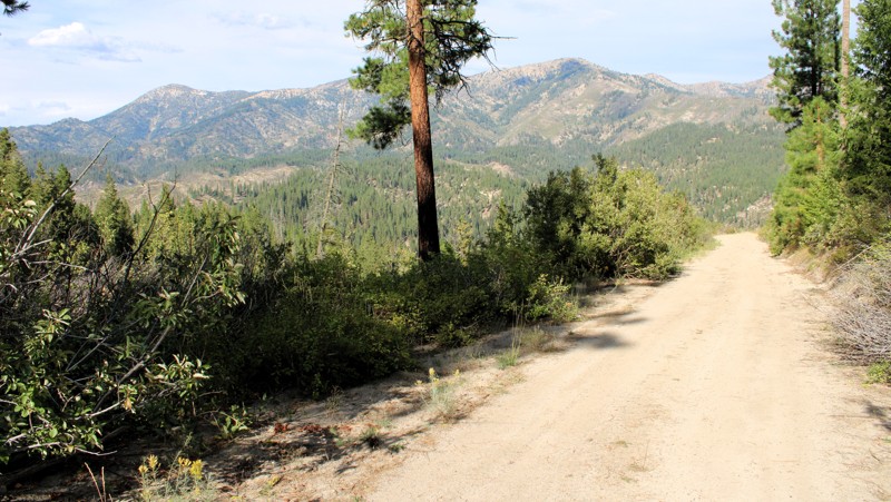 Idaho: North Fork Lincoln Creek Hero Photo