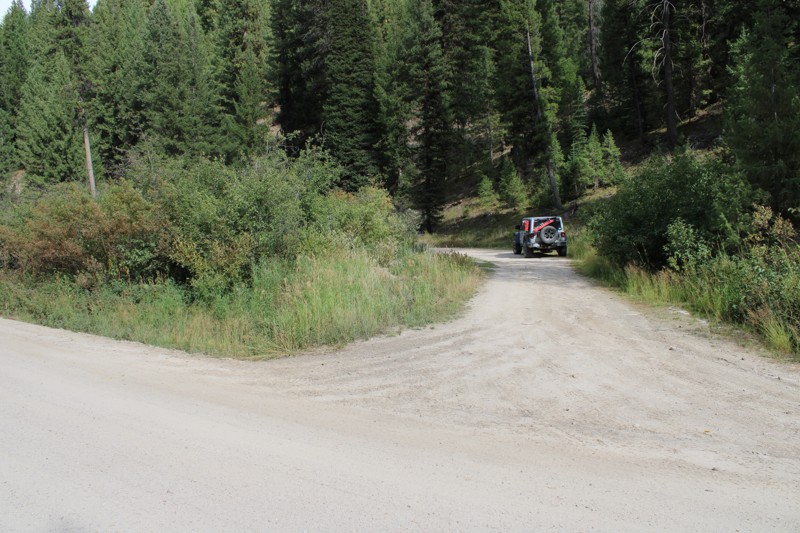 North Fork Lincoln Creek Trail Review Photo