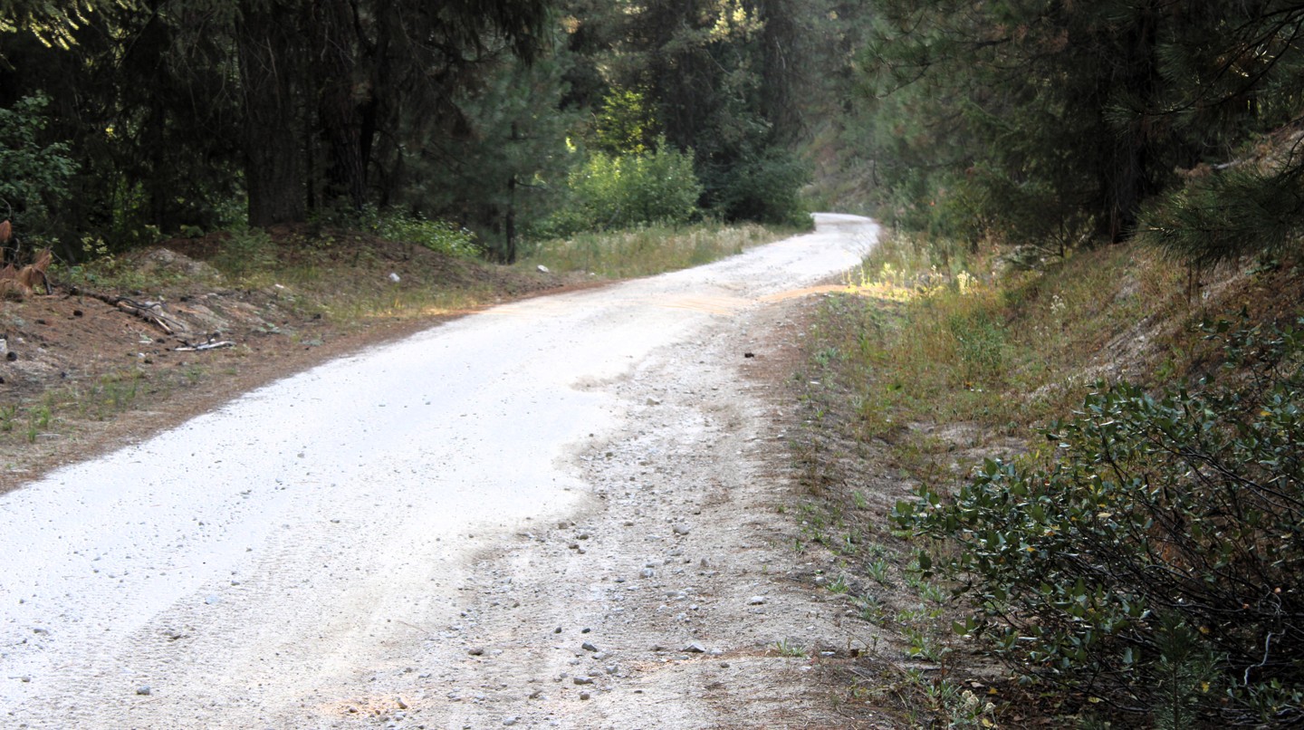 Hero: Cayuse Creek Road