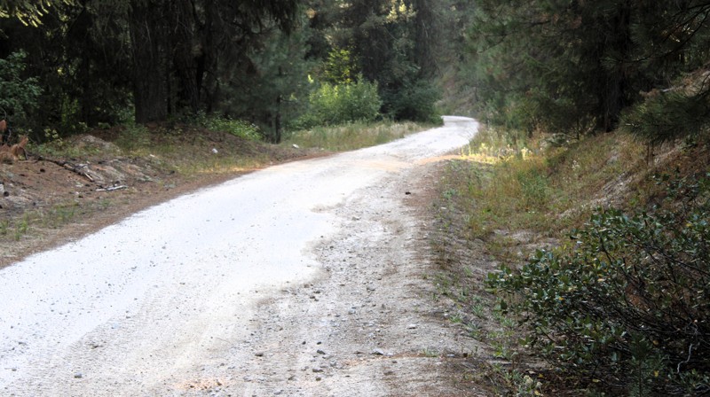 Idaho: Cayuse Creek Road Hero Photo