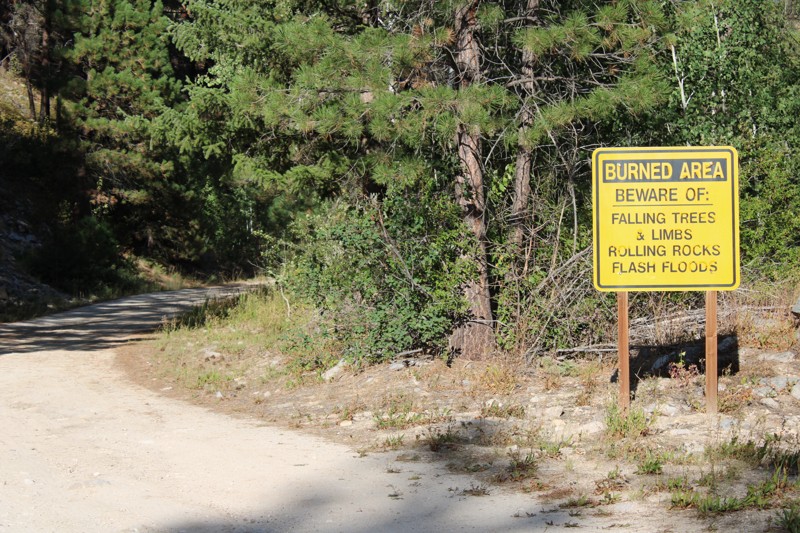 Cayuse Creek Road Trail Review Photo