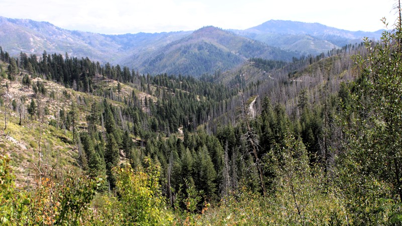 Idaho: Burnt Creek Road Hero Photo