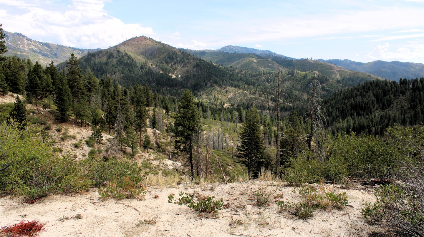 Hero: North Meadow Creek