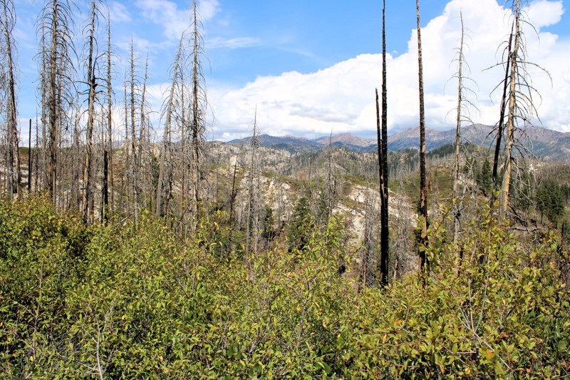 North Meadow Creek Trail Review Photo