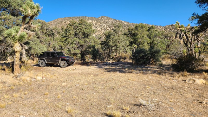 Antelope Creek Trail Review Photo