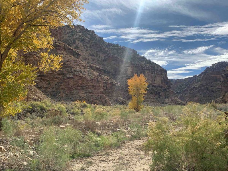 Cold Spring Trail Review Photo