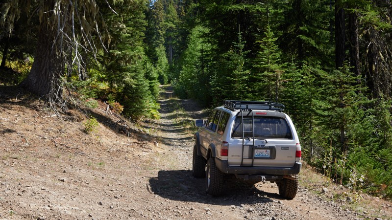Yellow Jacket Point Trail Review Photo