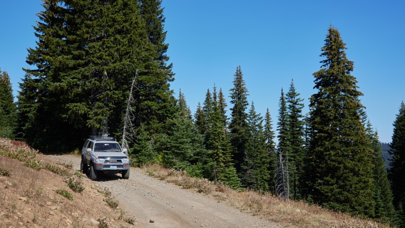 Yellow Jacket Point Trail Review Photo