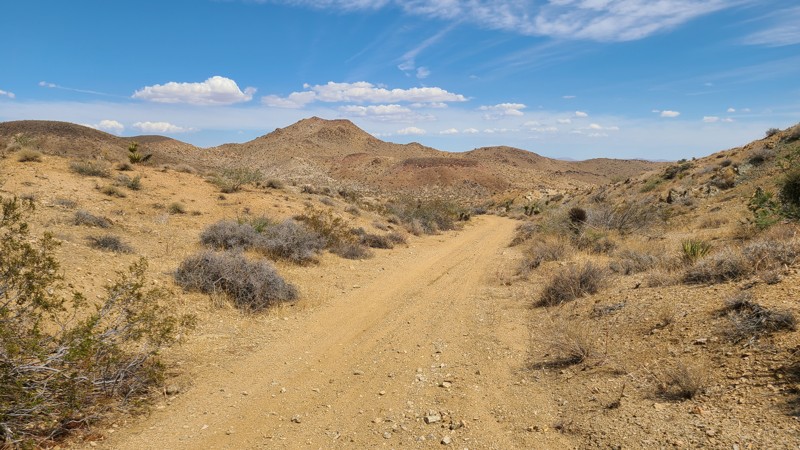 RC2309 Trail Review Photo