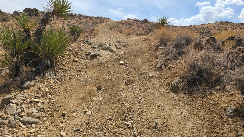 RC2309 Trail Review Photo