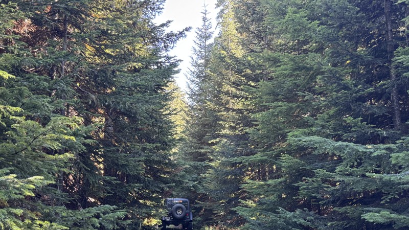 Peanut Trail Review Photo