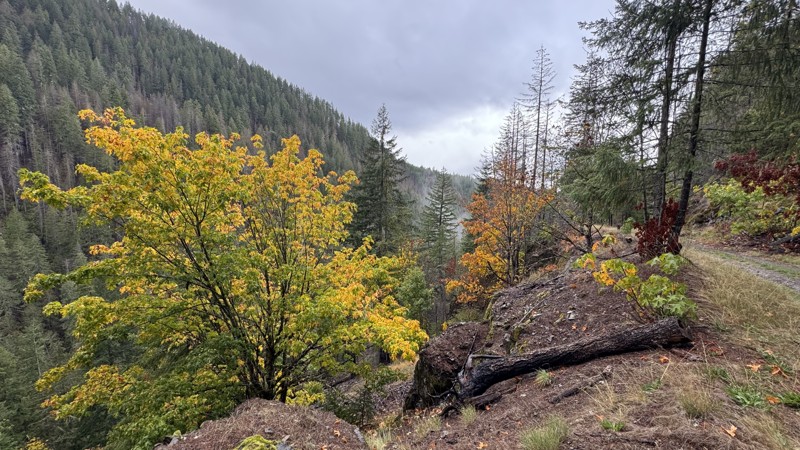 Purcell Creek Trail Review Photo