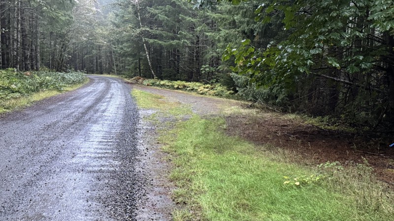 Lava Creek Trail Review Photo