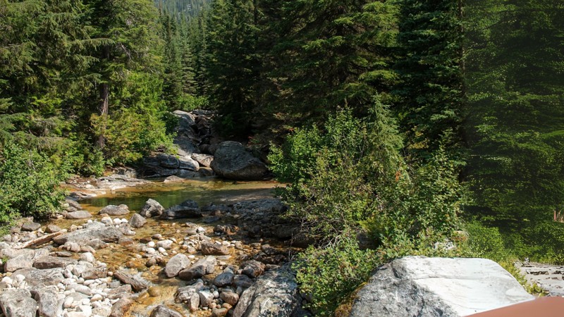 Upper Pack River Road Trail Review Photo