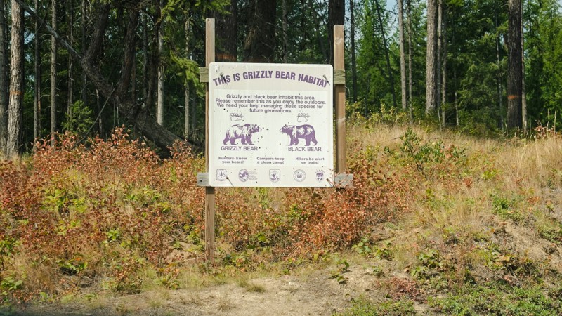 Snow Creek Trail Review Photo