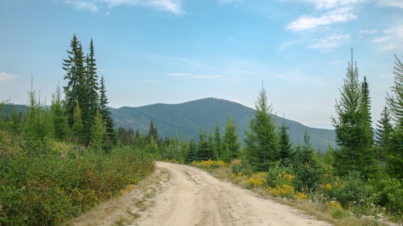Cooks Lake Trail Review Photo