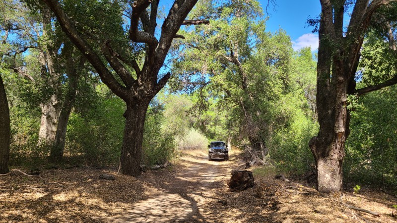 California: Indian Canyon Hero Photo