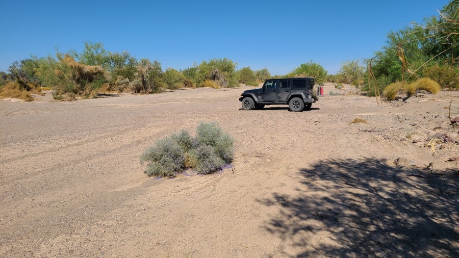 Old Palo Verde Road Trail Review Photo