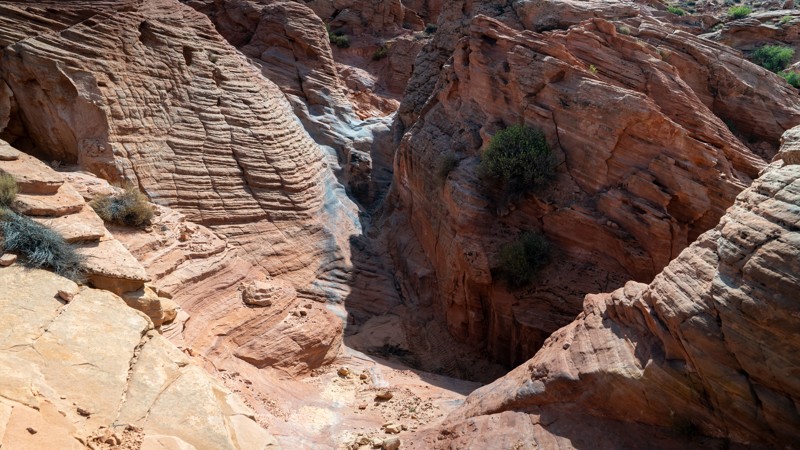 DeKleined Trail Review Photo