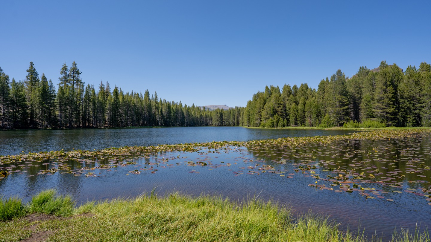 Hero: Elephant Rock Lake
