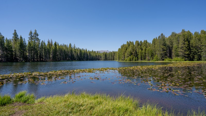 California: Elephant Rock Lake Hero Photo