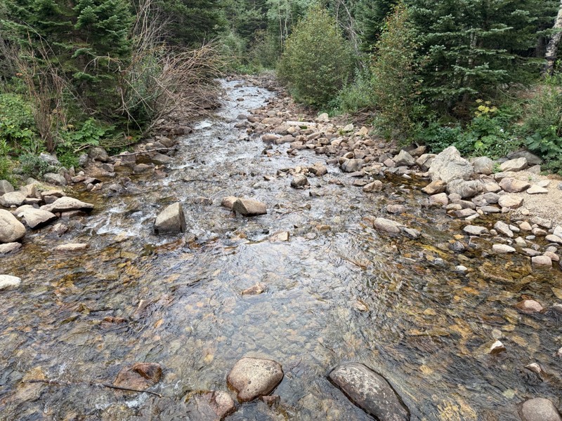 Hessie Townsite Trail Review Photo