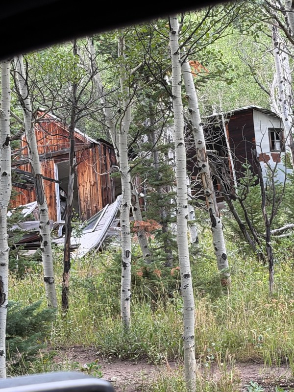 Hessie Townsite Trail Review Photo