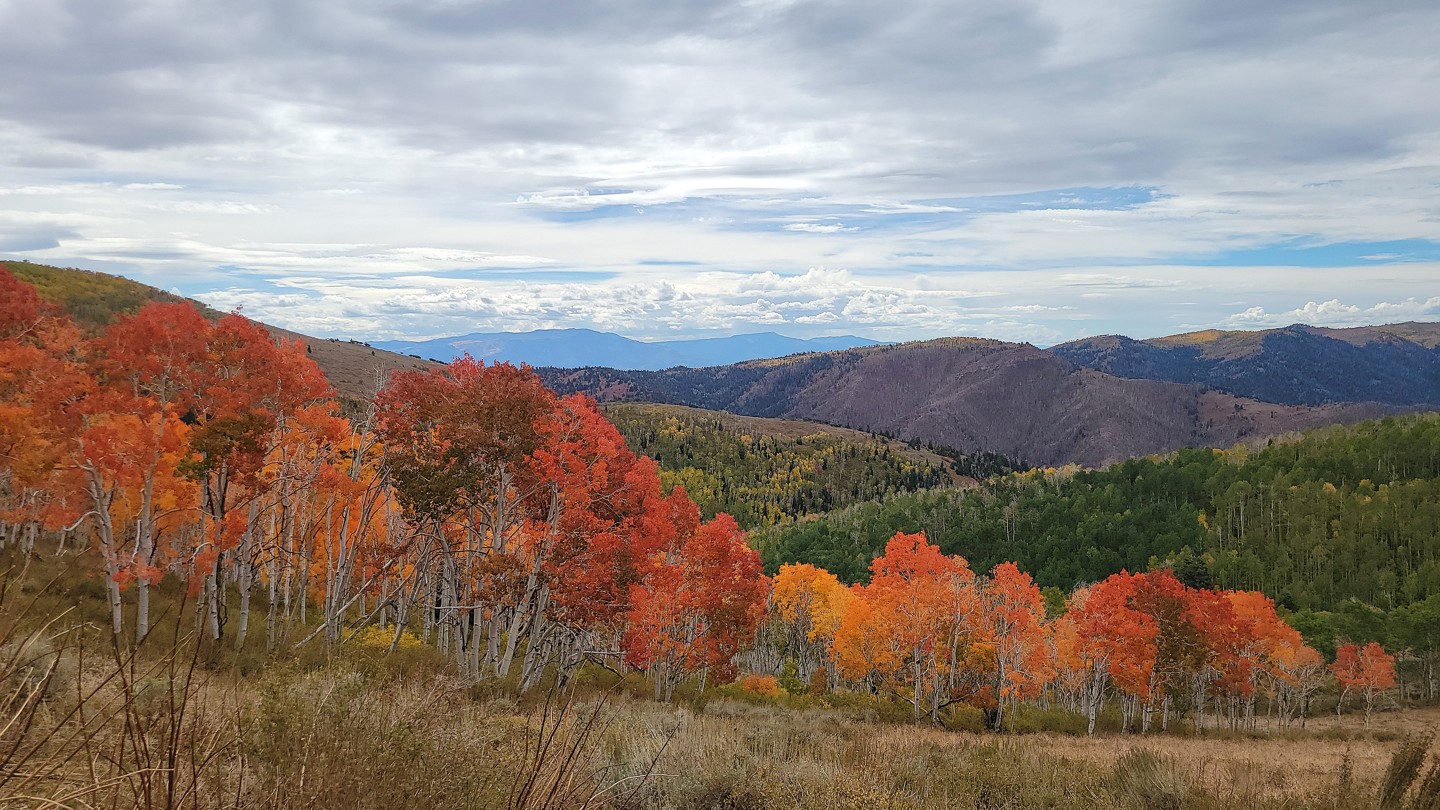 Hero: Chalk Creek Canyon