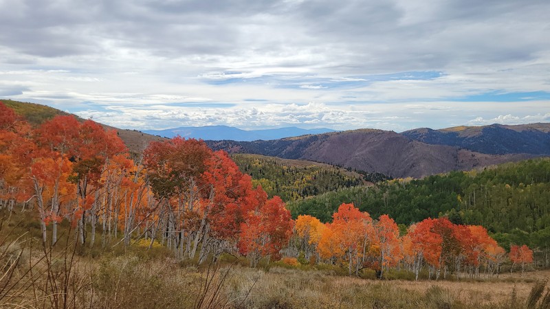 Utah: Chalk Creek Canyon Hero Photo